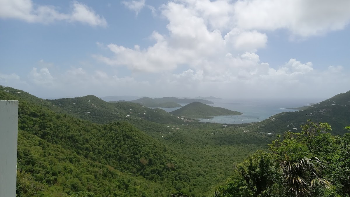 Colombo's Smoothies-8